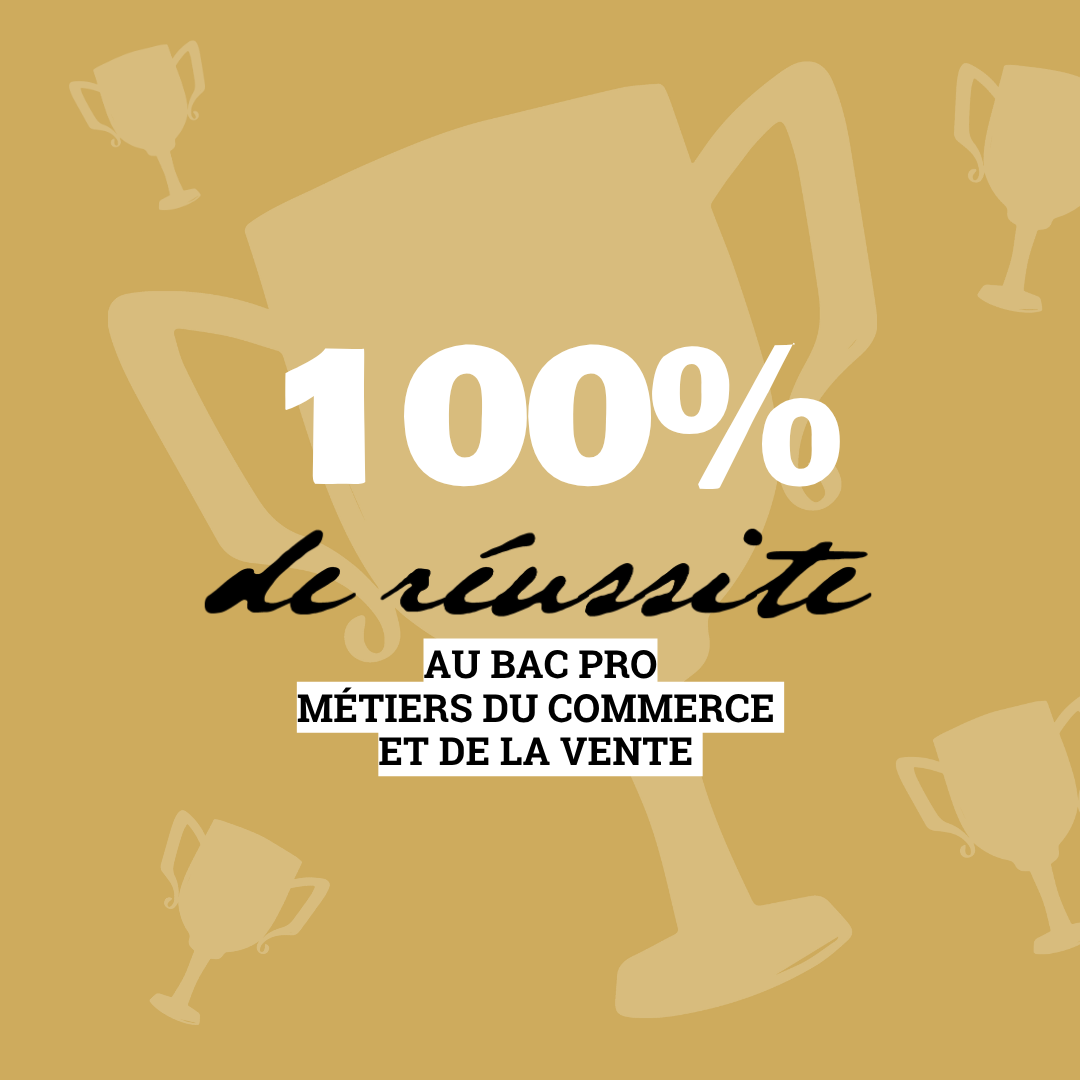 Résultats bac pro mcv 2025